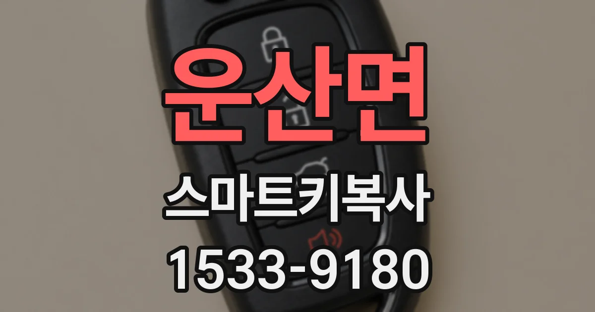 운산면 스마트키복사