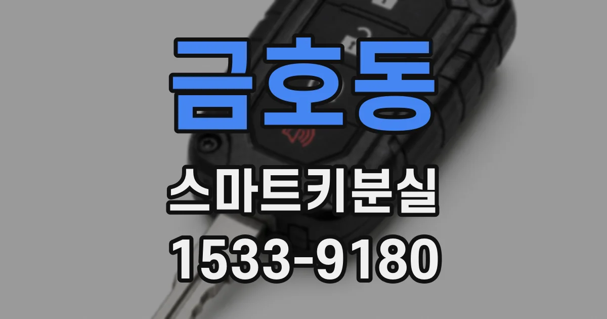 금호동 스마트키분실