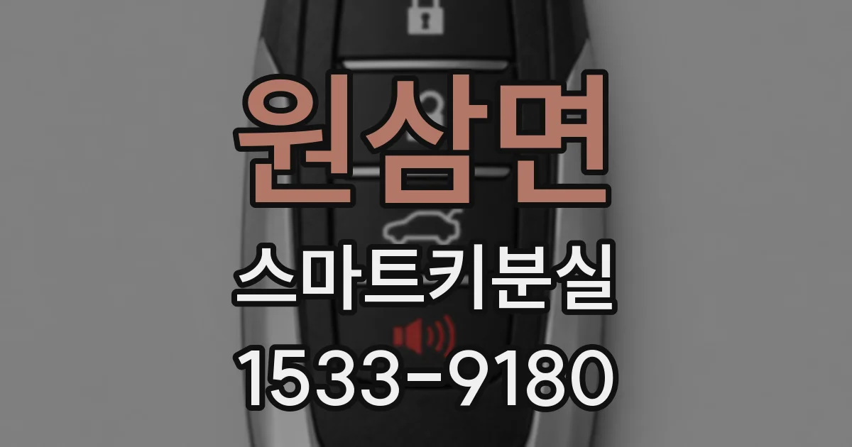 원삼면 스마트키분실