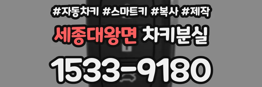 세종대왕면 차키분실