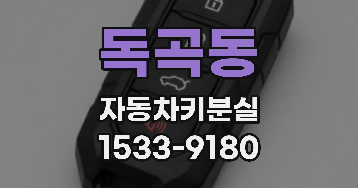 독곡동 자동차키분실