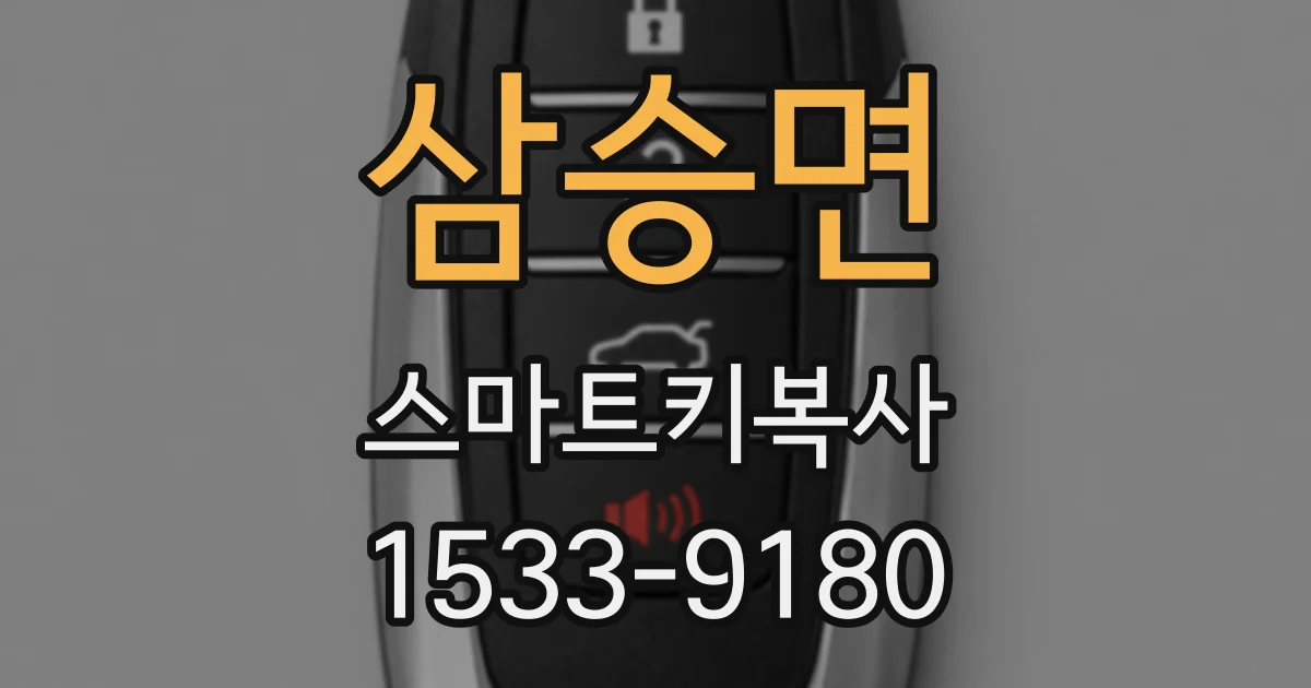 삼승면 스마트키복사