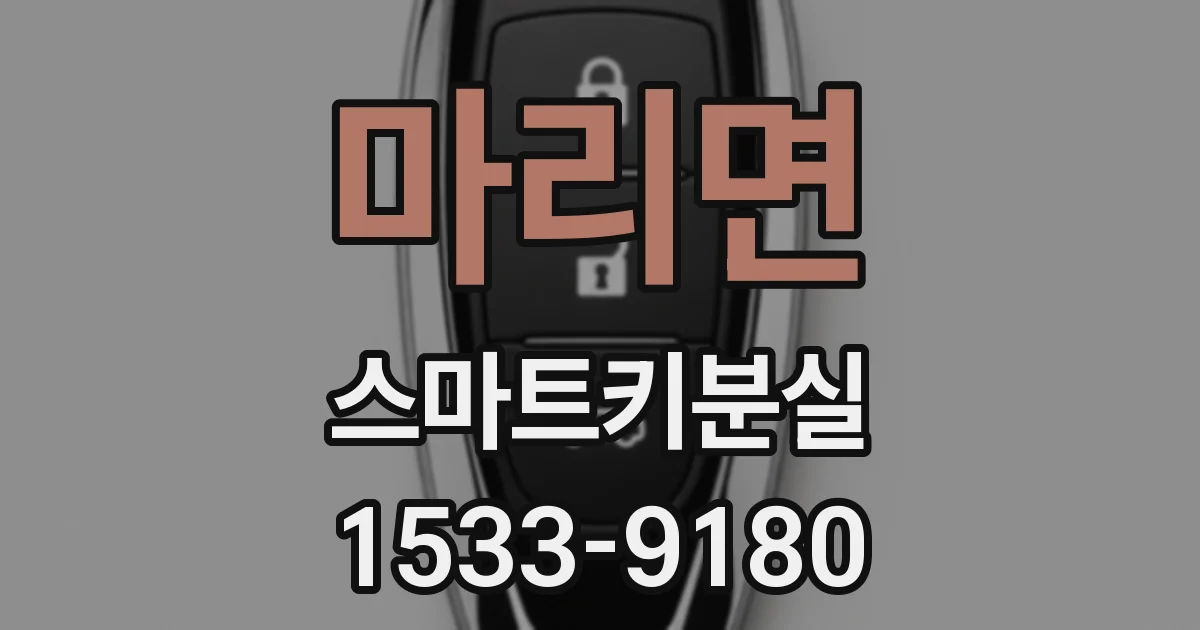 마리면 스마트키분실