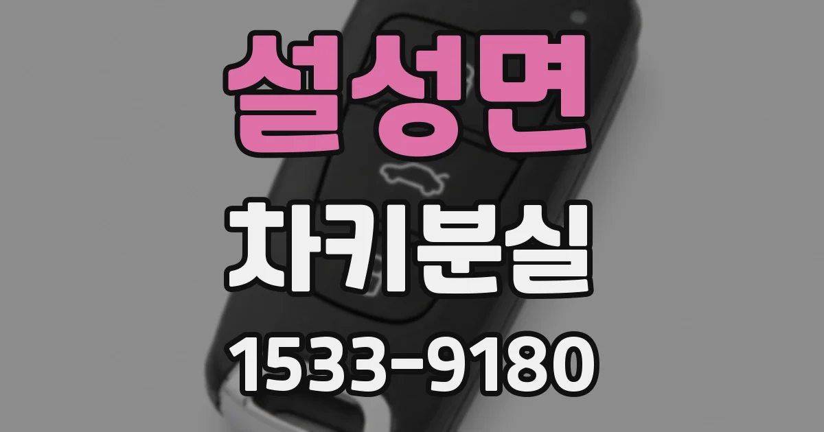 설성면 차키분실