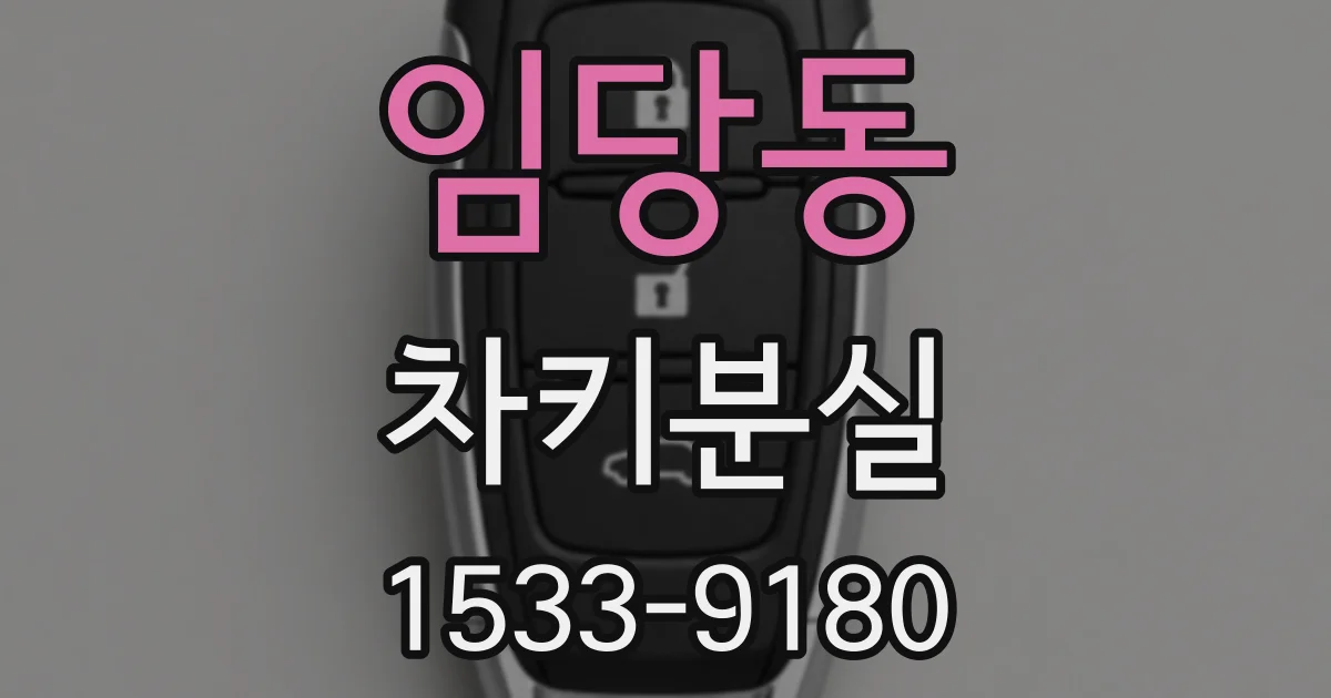 임당동 차키분실