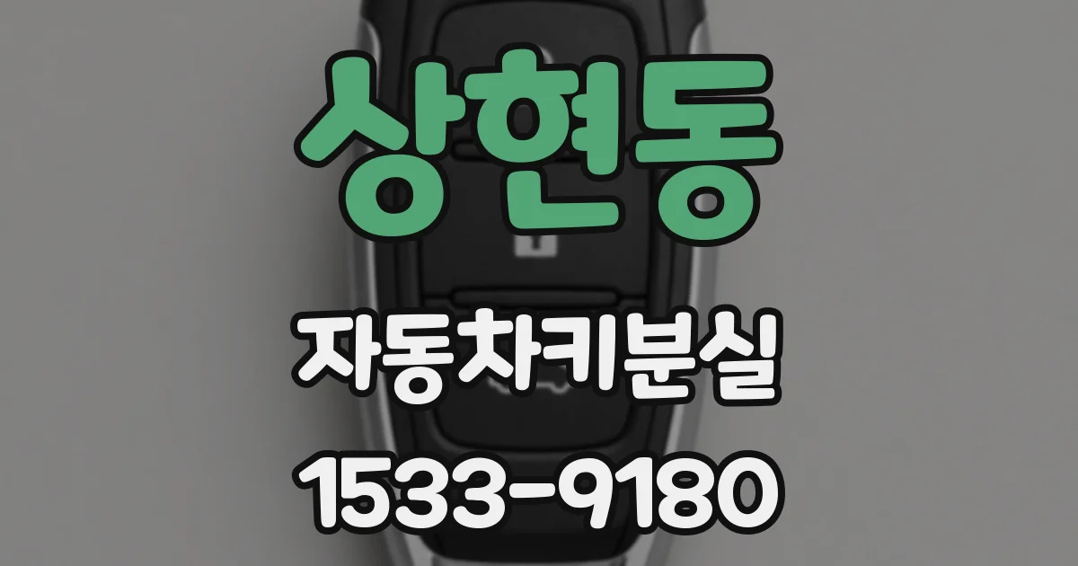 상현동 자동차키분실