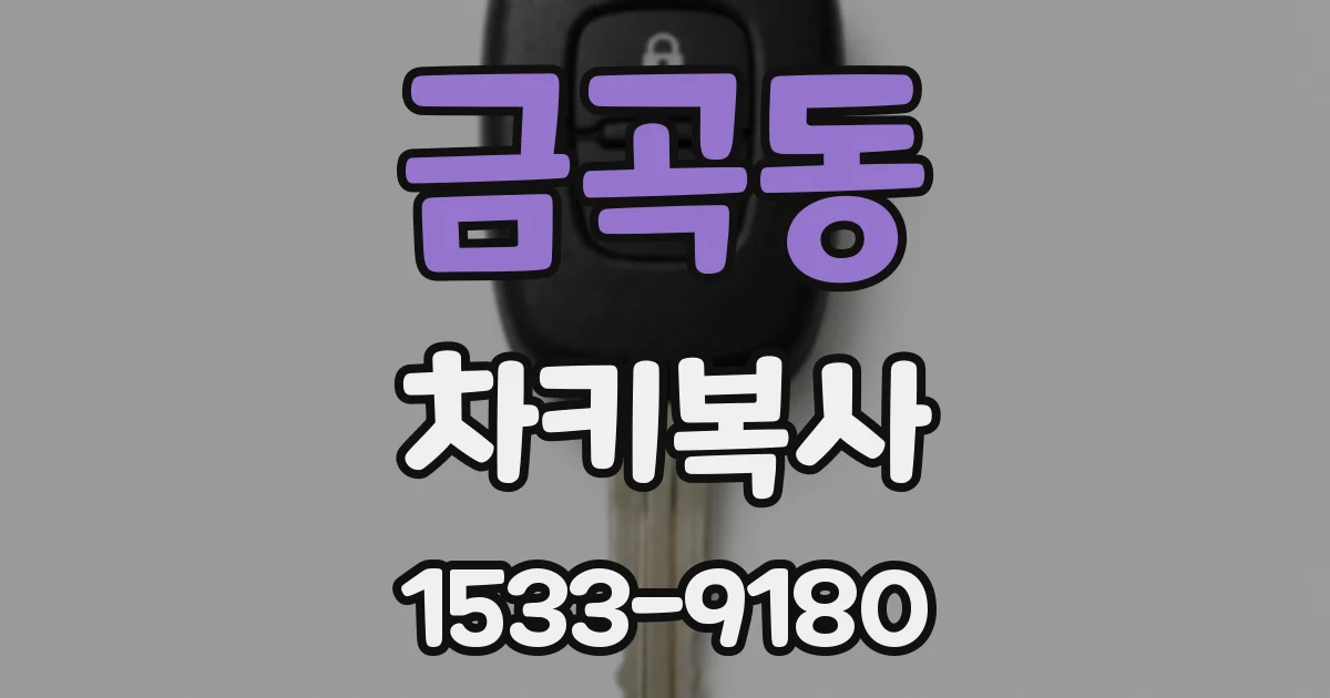 금곡동 차키복사
