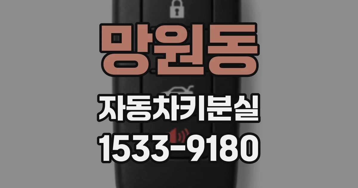 망원동 자동차키분실
