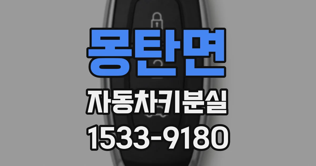 몽탄면 자동차키분실