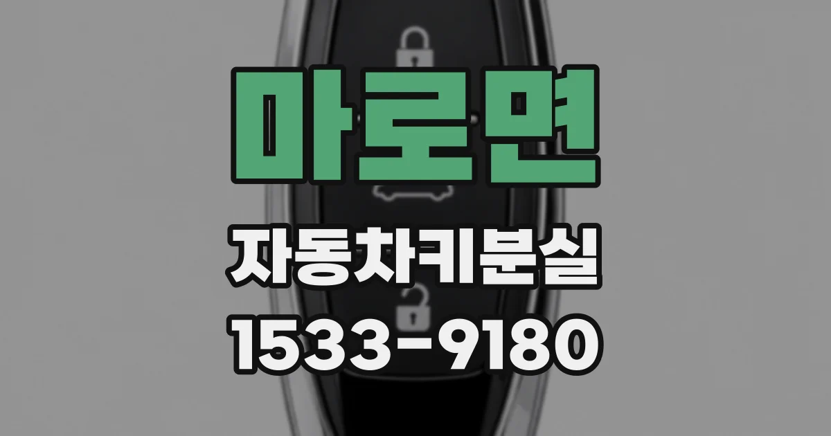 마로면 자동차키분실