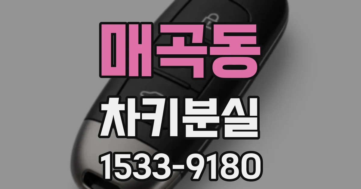 매곡동 차키분실