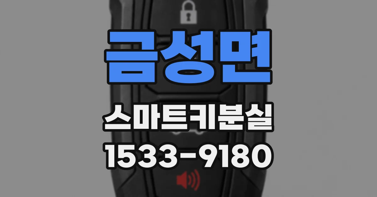 금성면 스마트키분실