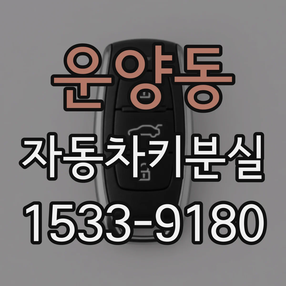 운양동 자동차키분실