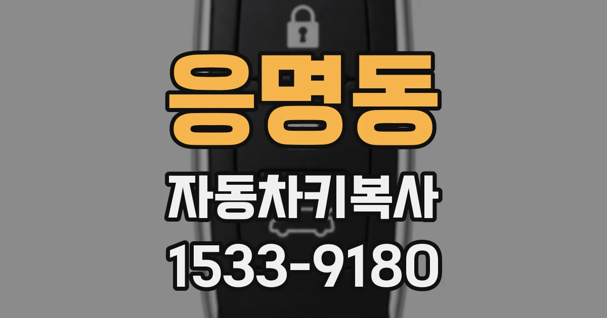 응명동 자동차키복사