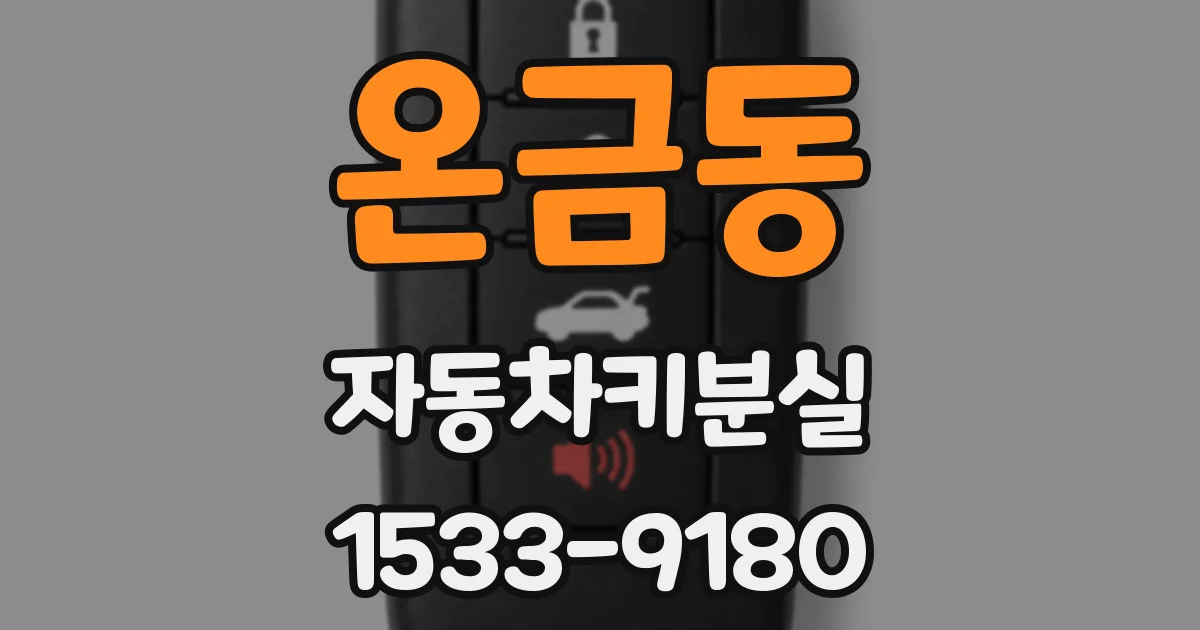 온금동 자동차키분실