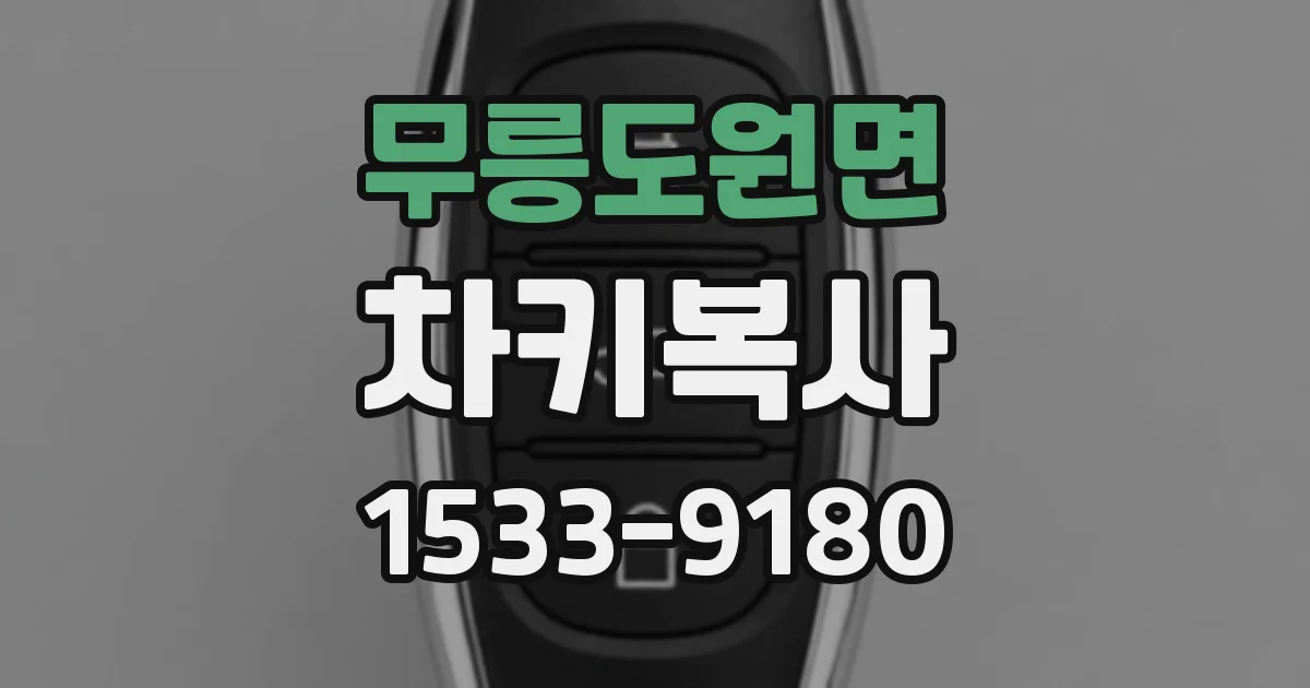 무릉도원면 차키복사