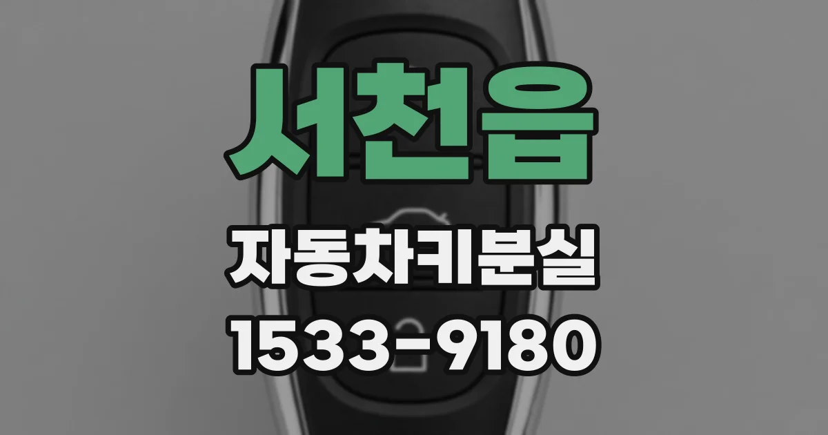 서천읍 자동차키분실