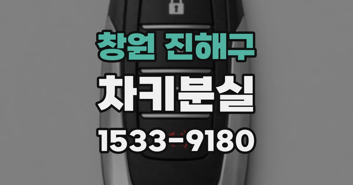 창원 진해구 차키분실