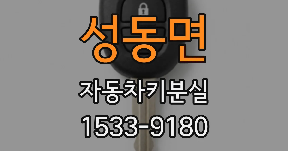 성동면 자동차키분실
