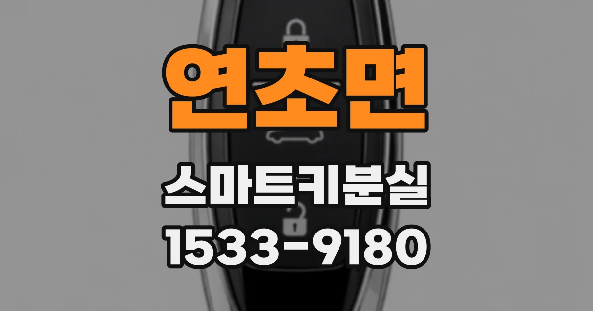연초면 스마트키분실