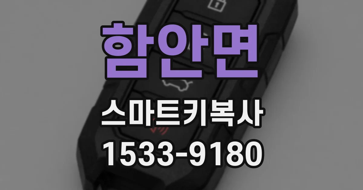 함안면 스마트키복사
