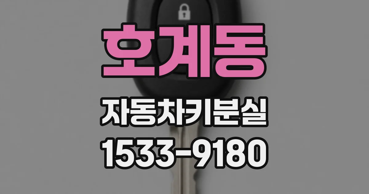 호계동 자동차키분실