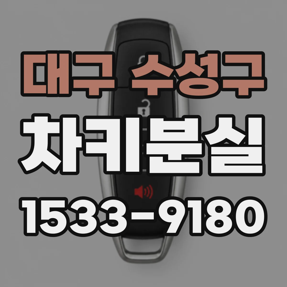 대구 수성구 차키분실