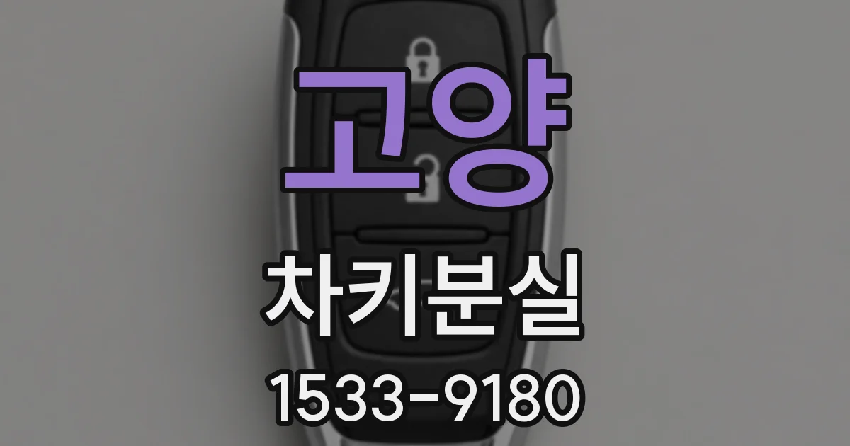 고양 차키분실