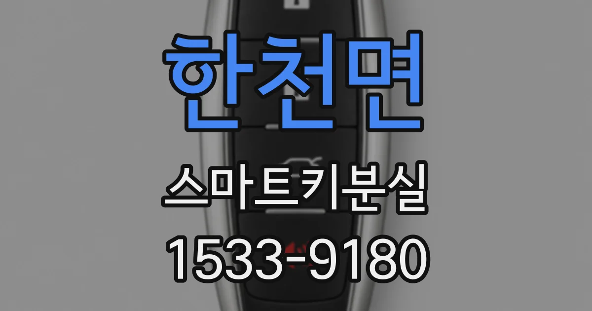 한천면 스마트키분실