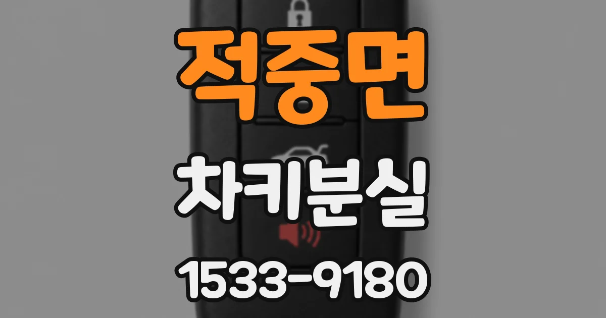 적중면 차키분실