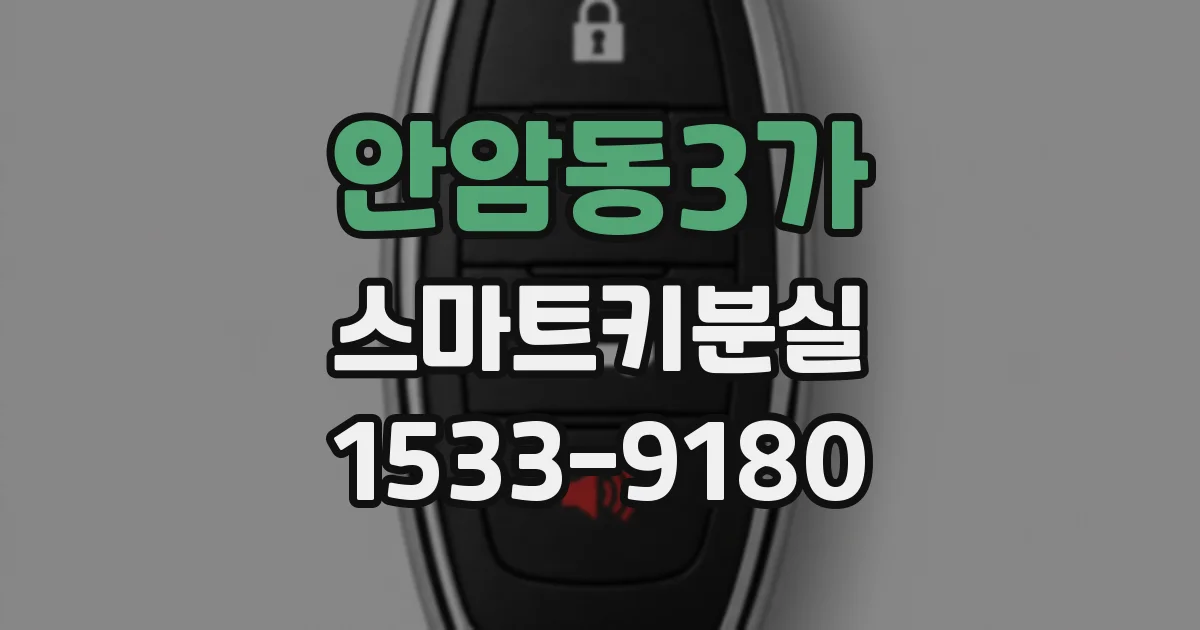안암동3가 스마트키분실