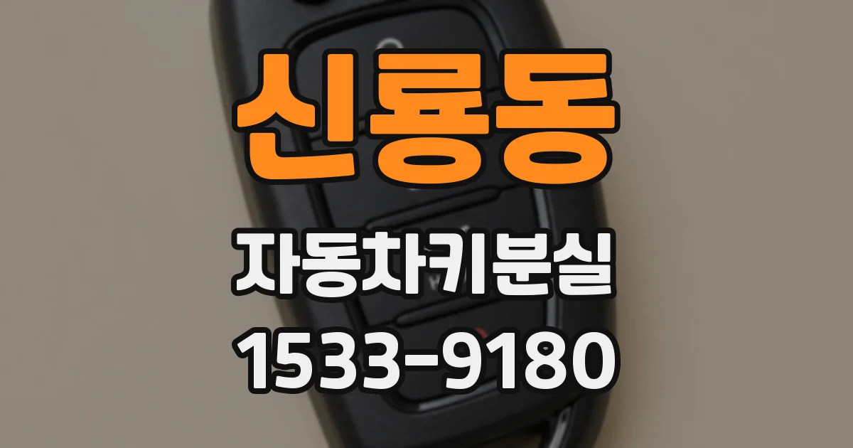 신룡동 자동차키분실