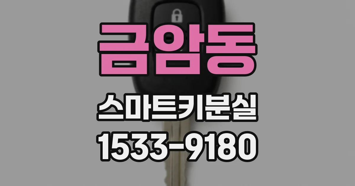 금암동 스마트키분실