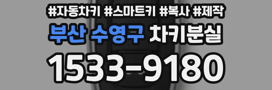 부산 수영구 차키분실