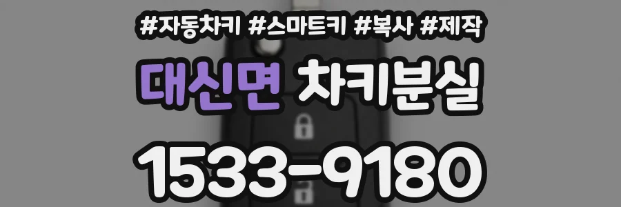 대신면 차키분실