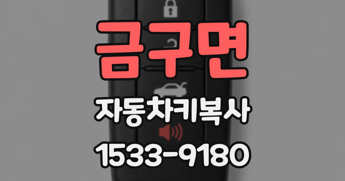 금구면 자동차키복사