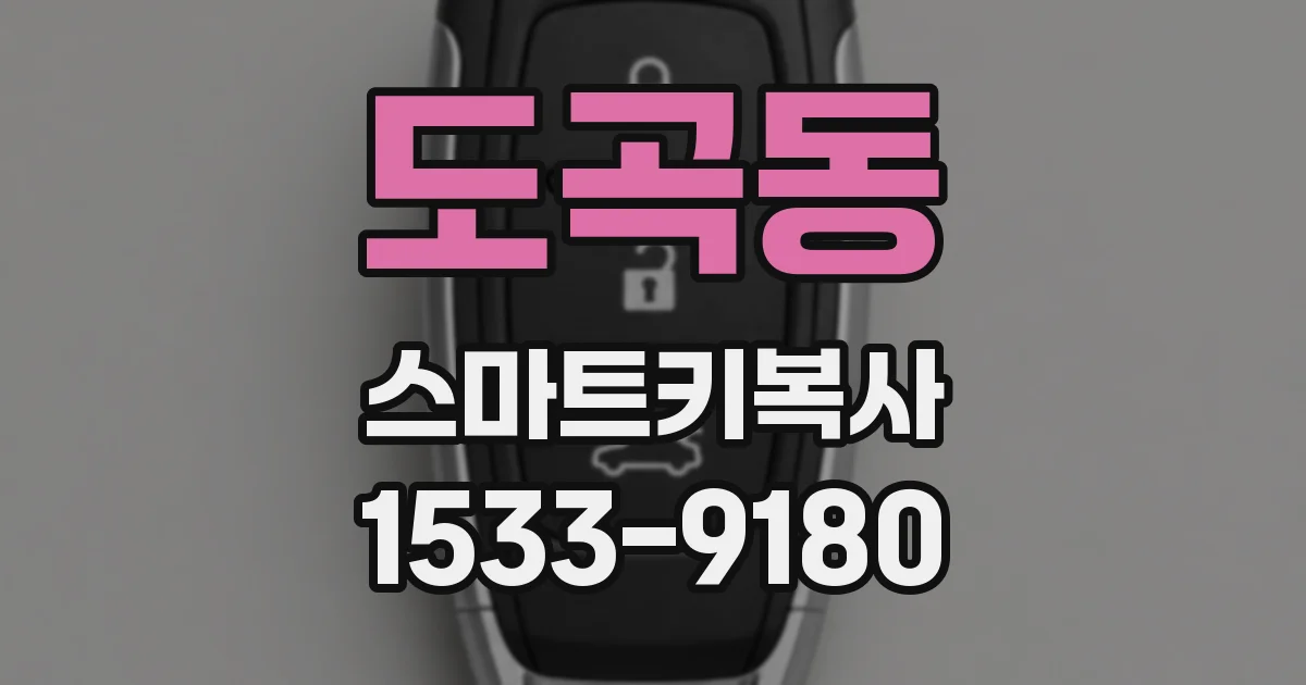 도곡동 스마트키복사