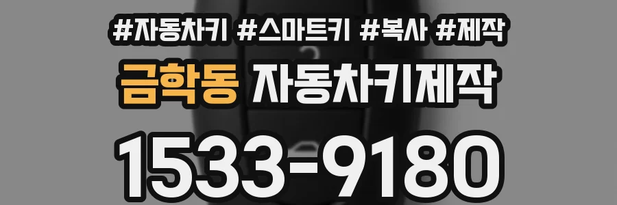 금학동 자동차키제작