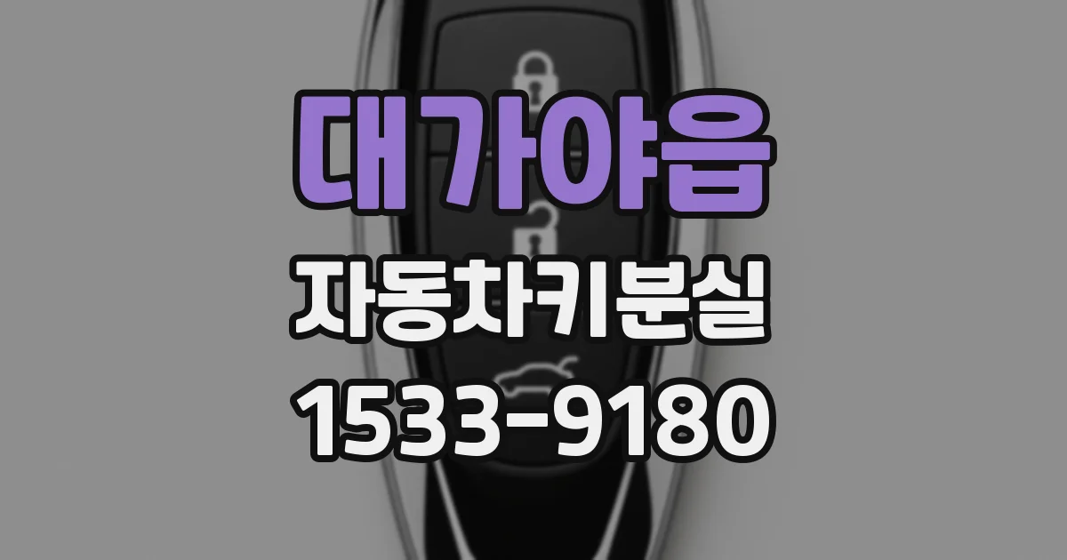 대가야읍 자동차키분실