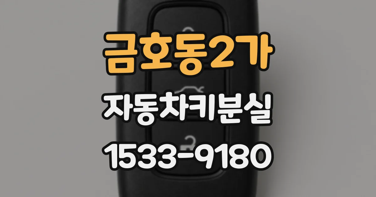 금호동2가 자동차키분실