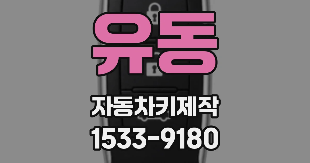 유동 자동차키제작