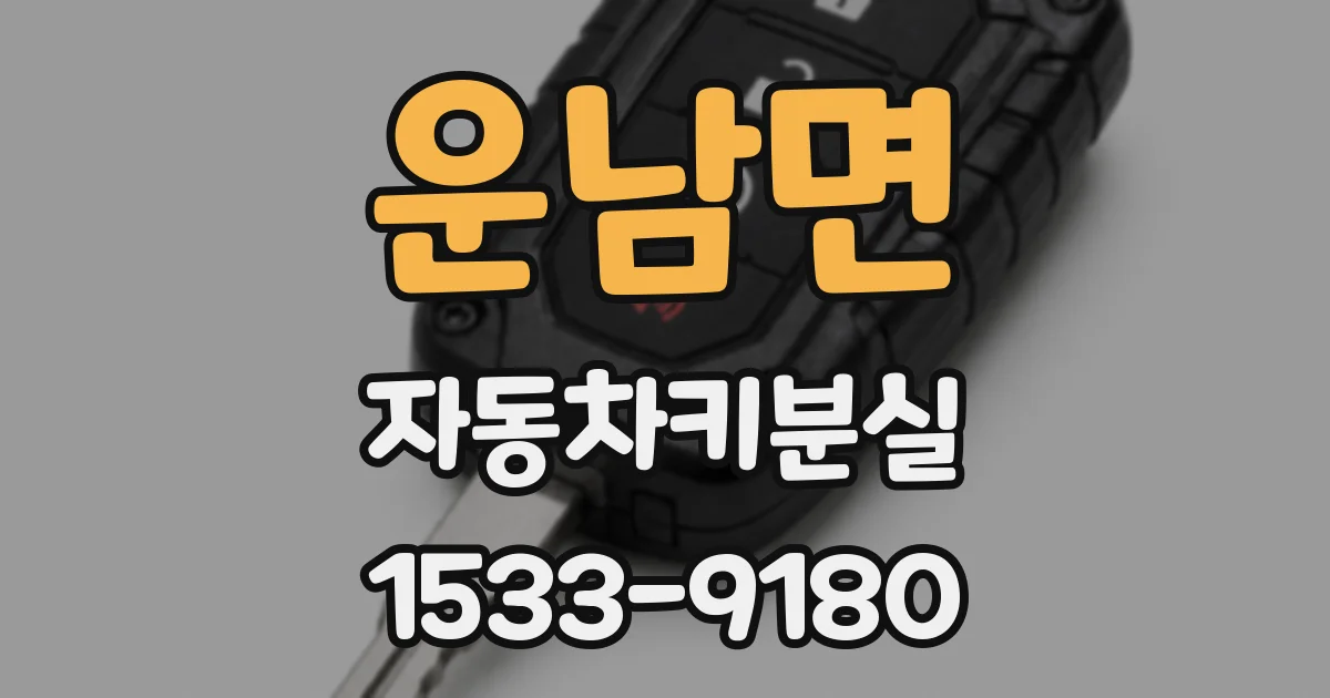 운남면 자동차키분실