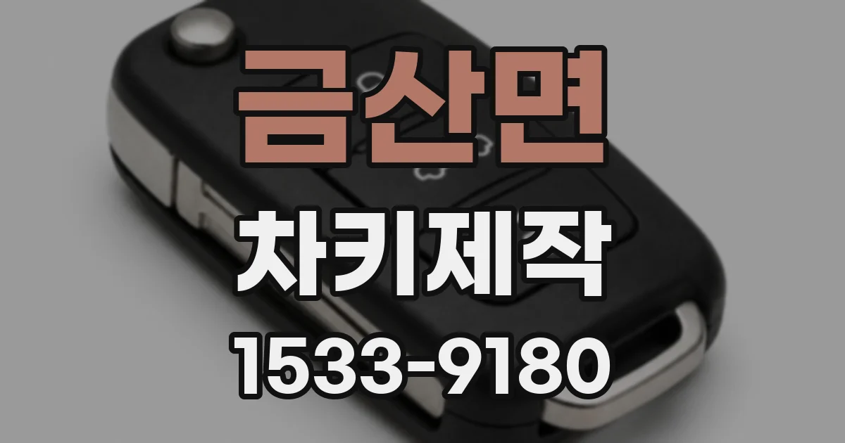 금산면 차키제작
