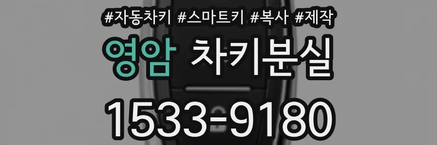 영암 차키분실