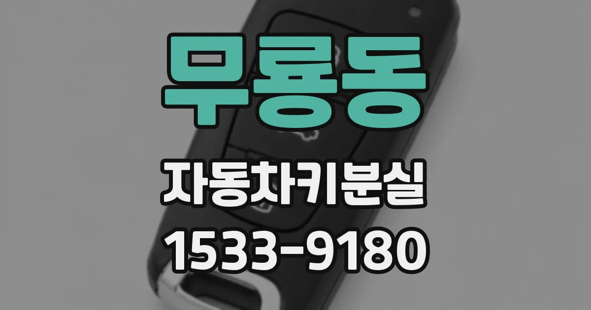 무룡동 자동차키분실