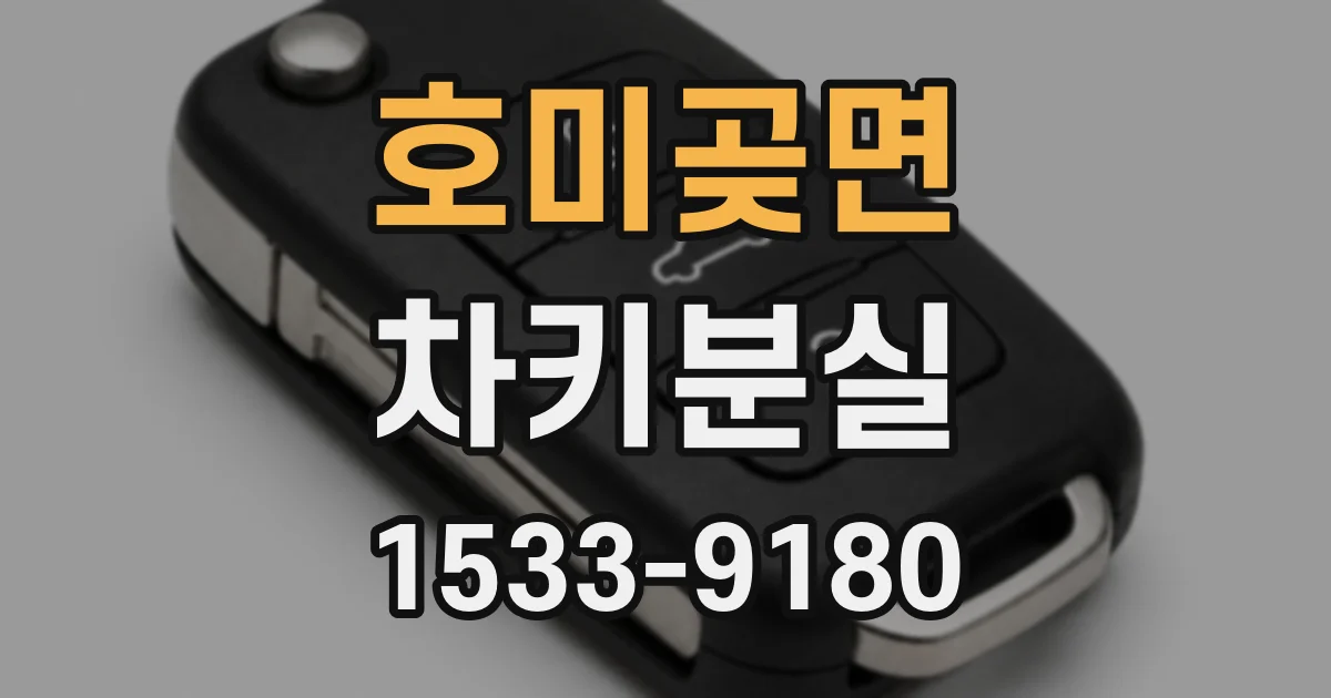 호미곶면 차키분실