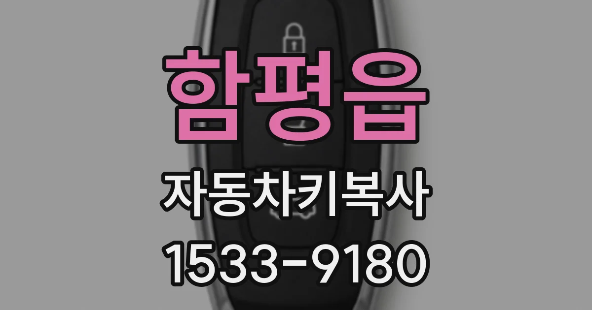 함평읍 자동차키복사
