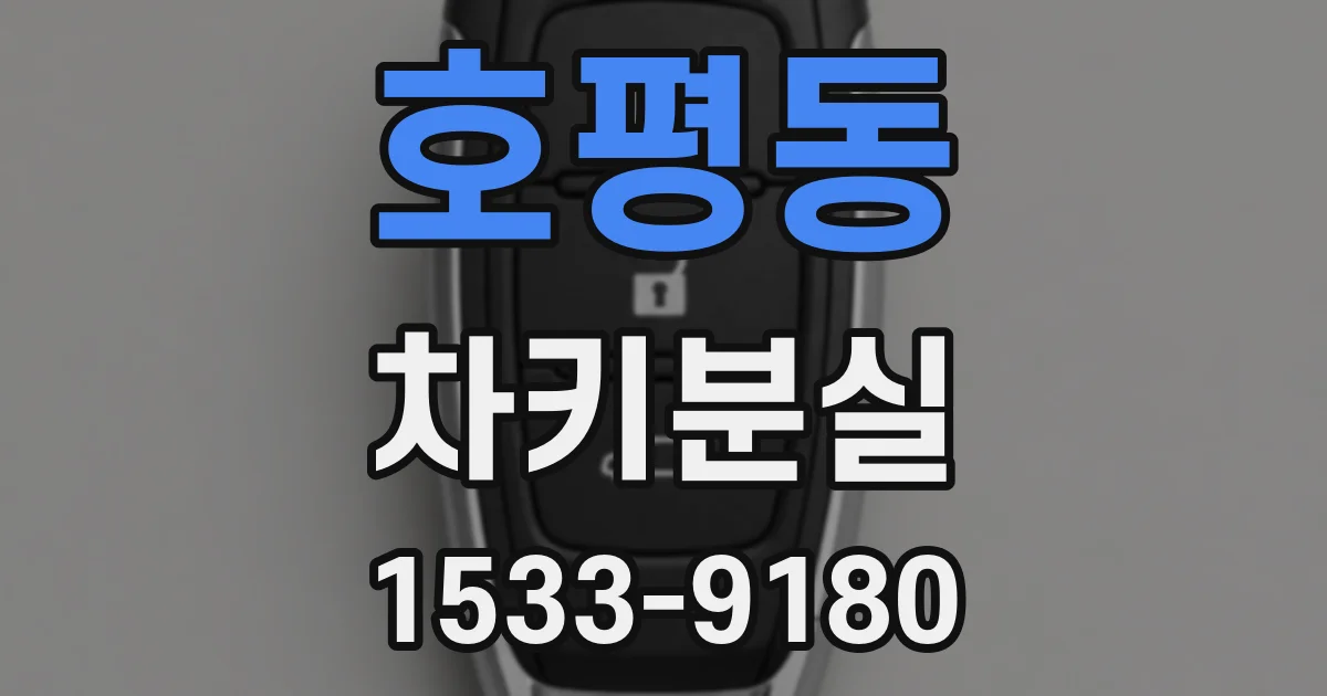 호평동 차키분실