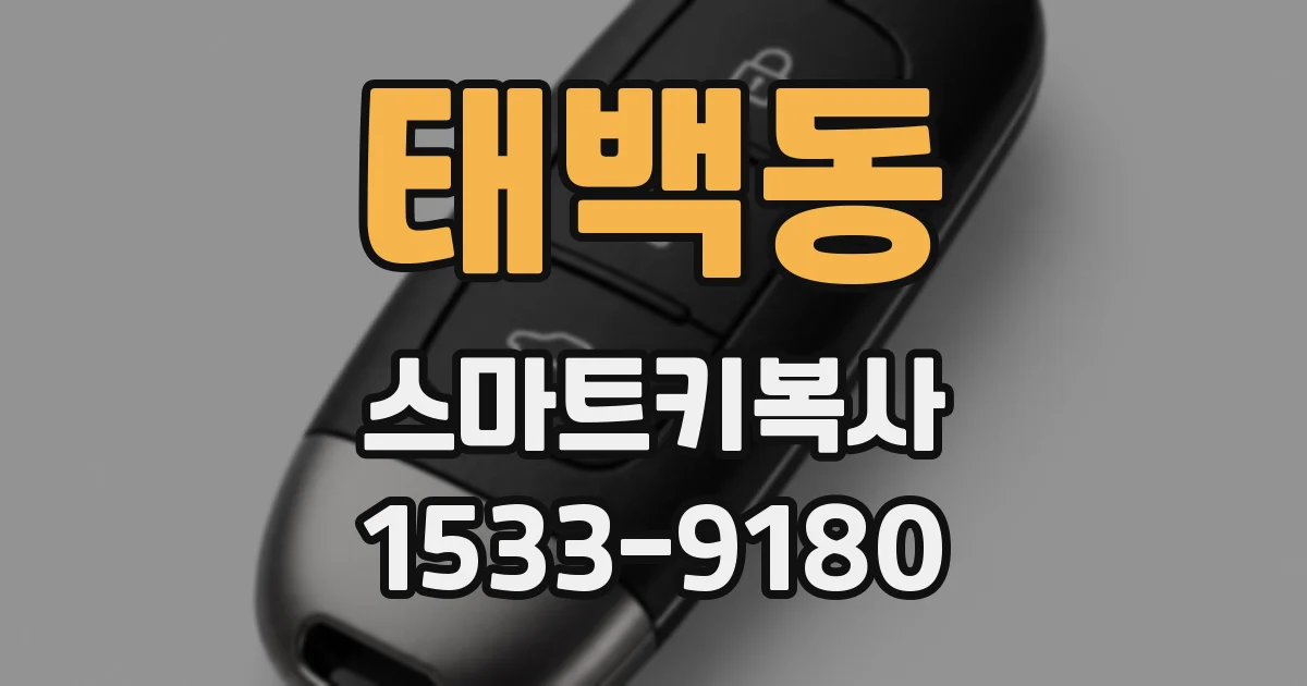 태백동 스마트키복사
