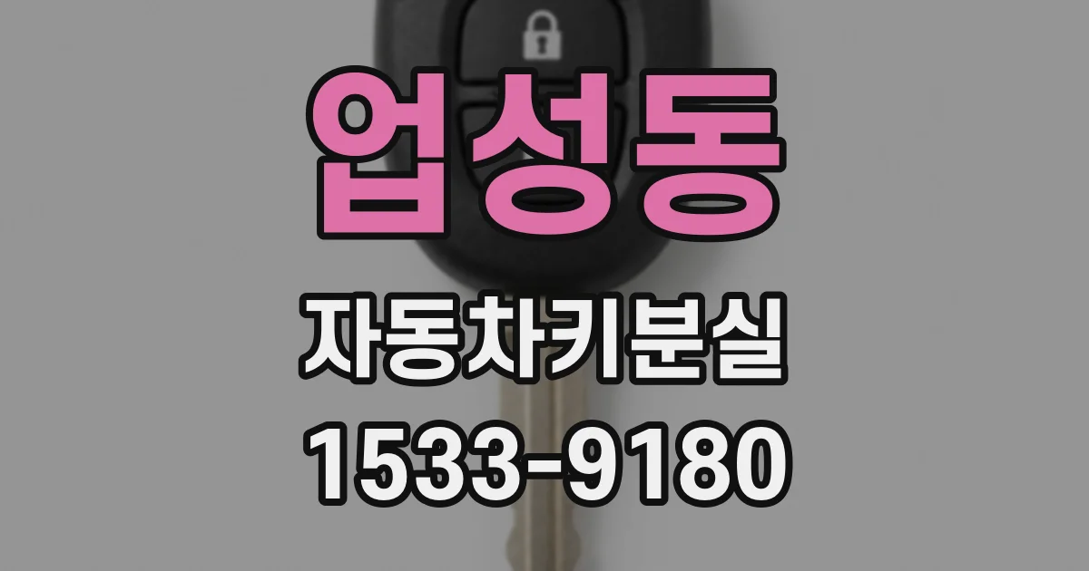 업성동 자동차키분실